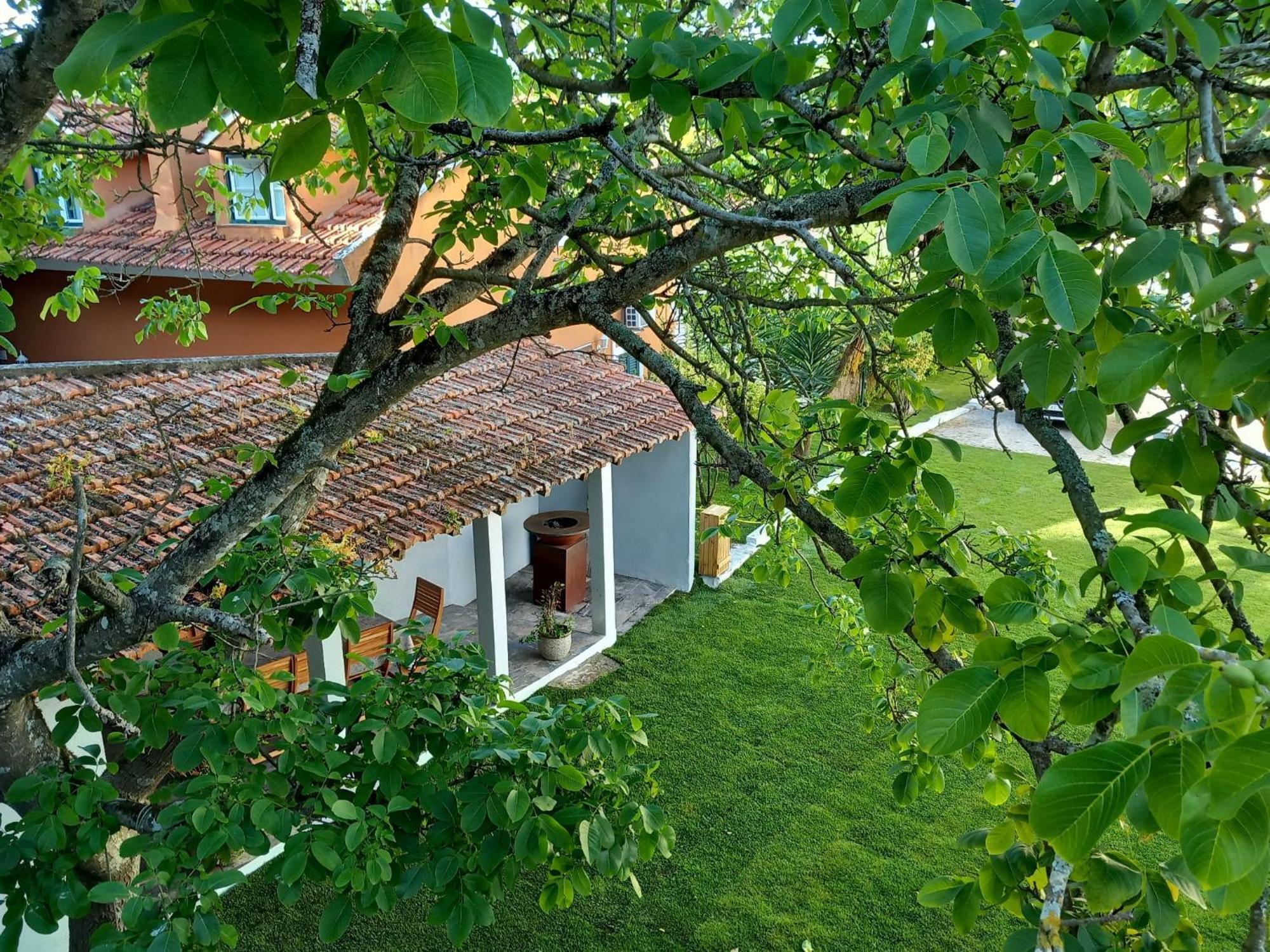 Villa In Sintra - Casa Da Penha Ferrim Εξωτερικό φωτογραφία