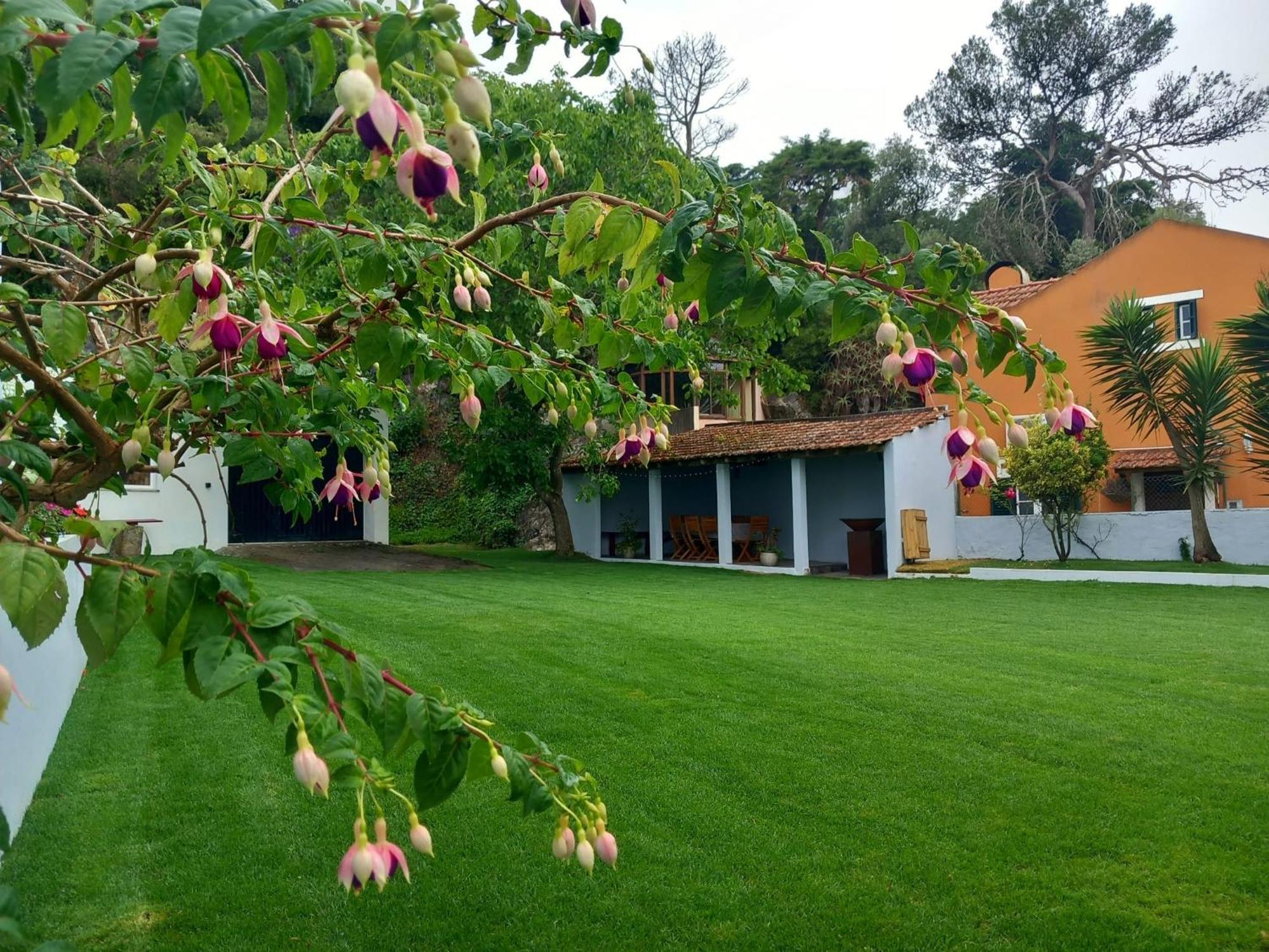 Villa In Sintra - Casa Da Penha Ferrim Εξωτερικό φωτογραφία