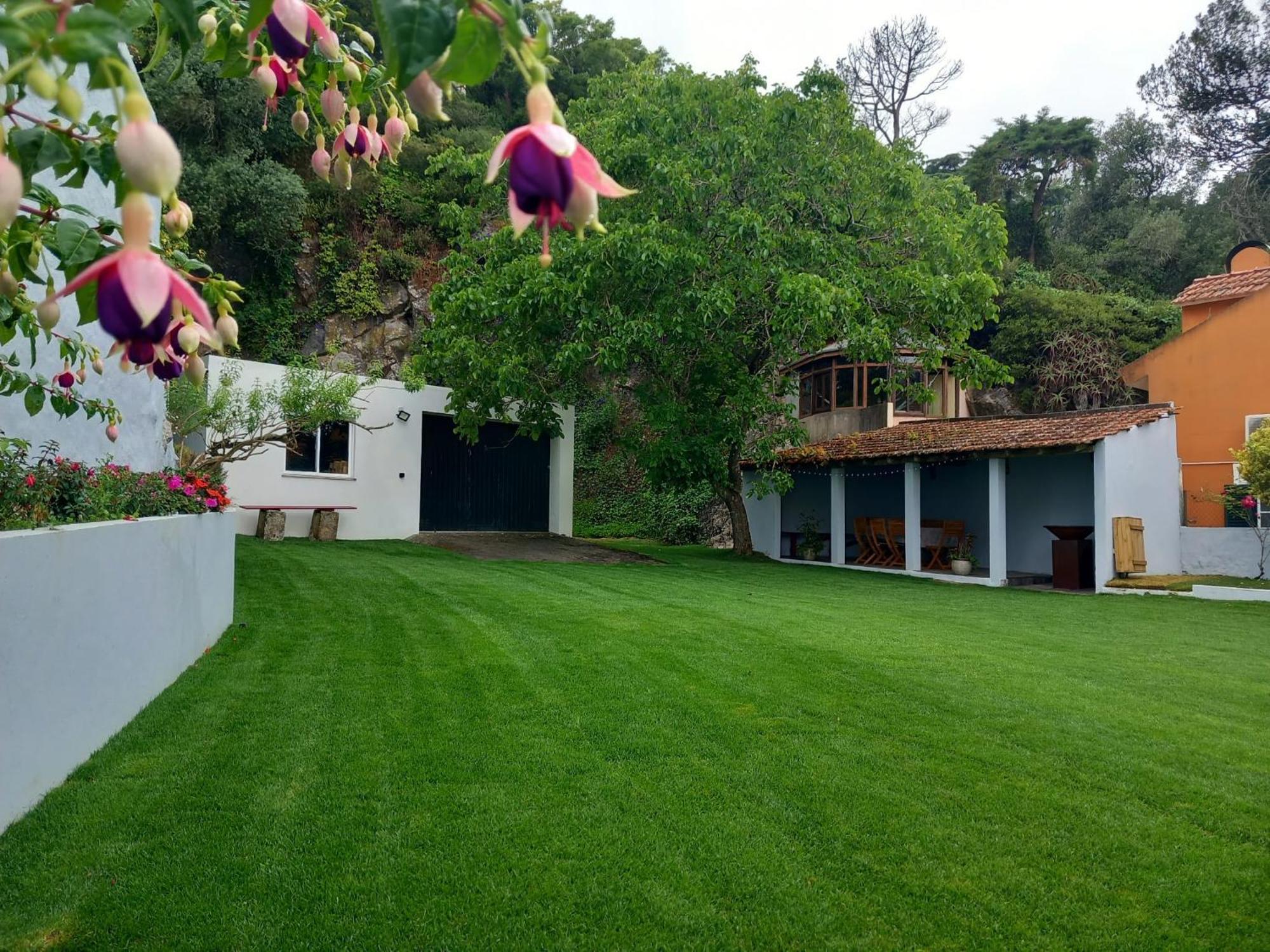 Villa In Sintra - Casa Da Penha Ferrim Εξωτερικό φωτογραφία